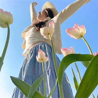 《虚空北境》封面